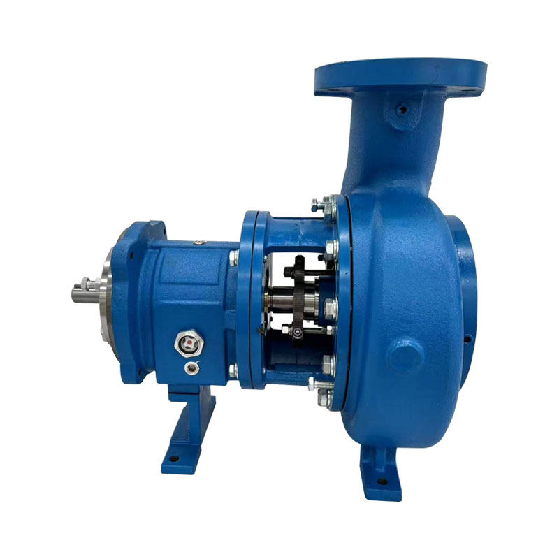 Model 3196 Pompa Proses Kimia